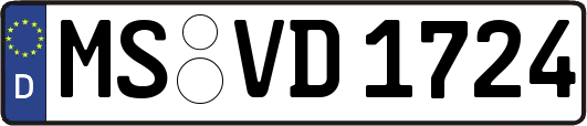 MS-VD1724