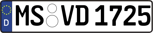 MS-VD1725