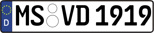 MS-VD1919