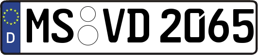 MS-VD2065