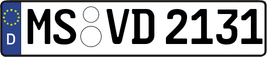 MS-VD2131