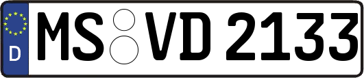 MS-VD2133