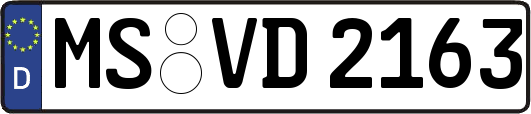 MS-VD2163