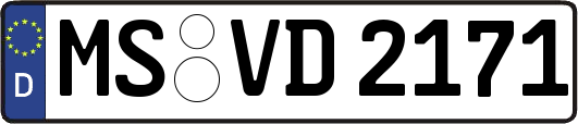 MS-VD2171