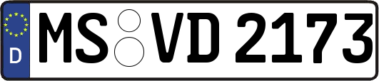 MS-VD2173