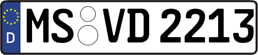 MS-VD2213