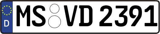 MS-VD2391