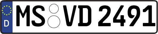 MS-VD2491