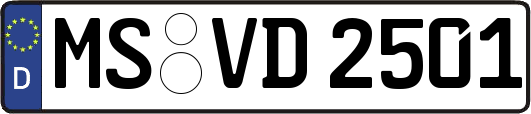 MS-VD2501