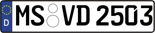 MS-VD2503