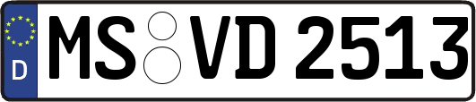 MS-VD2513