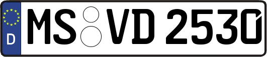 MS-VD2530