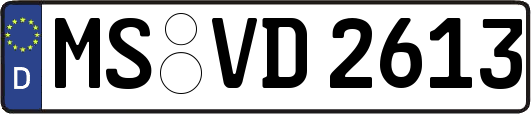 MS-VD2613