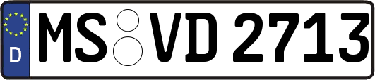 MS-VD2713