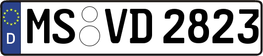 MS-VD2823