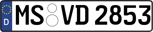 MS-VD2853