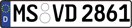 MS-VD2861