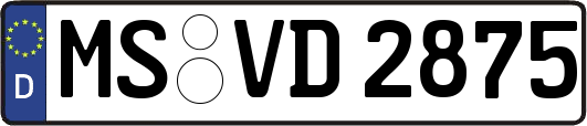 MS-VD2875
