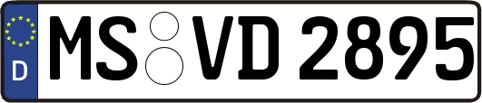 MS-VD2895