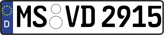 MS-VD2915