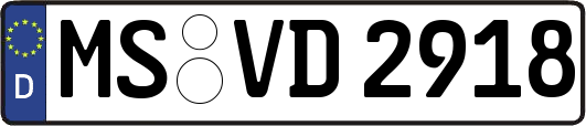 MS-VD2918