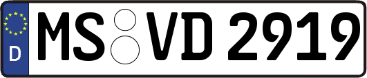 MS-VD2919
