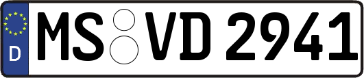 MS-VD2941