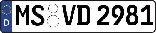 MS-VD2981