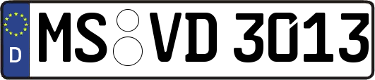 MS-VD3013