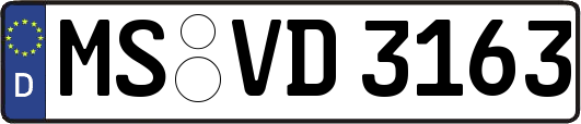 MS-VD3163