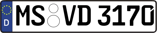 MS-VD3170