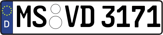 MS-VD3171