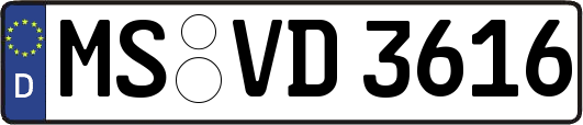 MS-VD3616