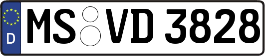 MS-VD3828