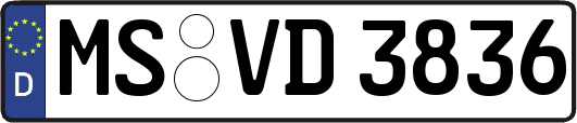 MS-VD3836