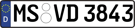 MS-VD3843