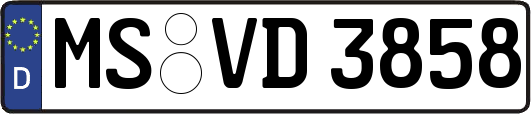 MS-VD3858