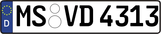 MS-VD4313