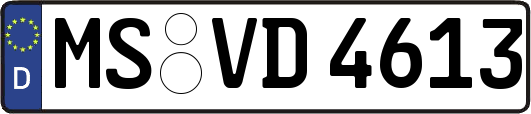 MS-VD4613