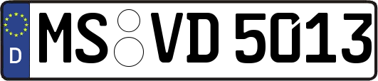 MS-VD5013