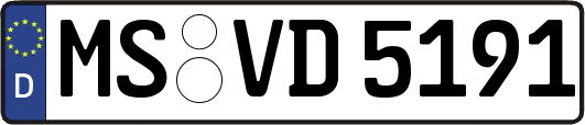MS-VD5191