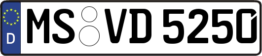 MS-VD5250