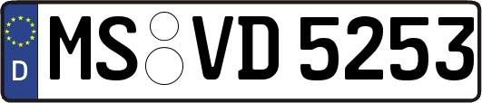 MS-VD5253