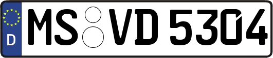 MS-VD5304