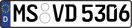 MS-VD5306