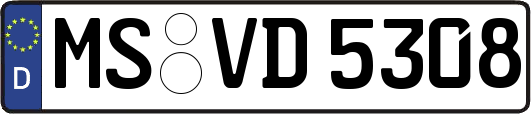 MS-VD5308
