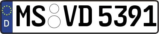 MS-VD5391