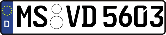 MS-VD5603