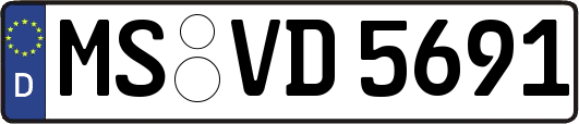 MS-VD5691