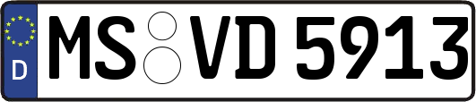 MS-VD5913